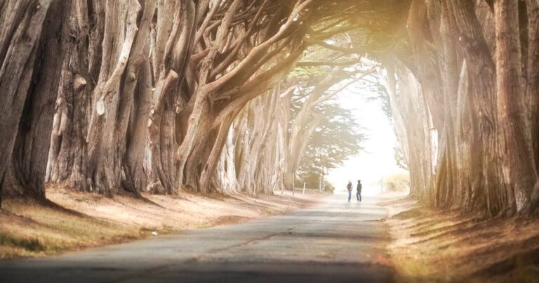 How to get Unstuck in Life by trusting Yourself